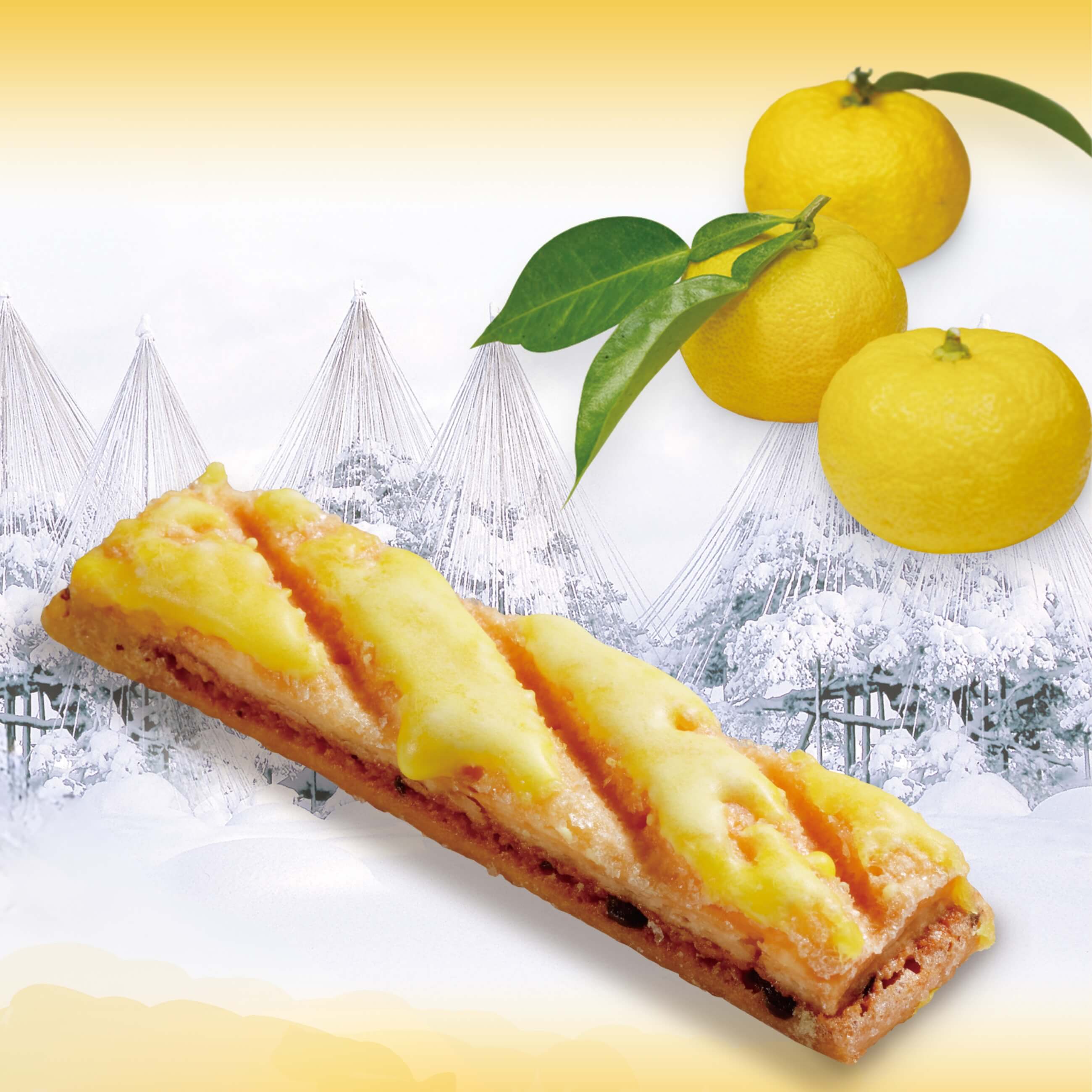 【能登応援】【YUKIZURI】能登産のゆずを使用！～雪吊り(ゆきづり)～柚子 10本入り / パティシエ辻口博啓のスイーツ（季節限定商品）