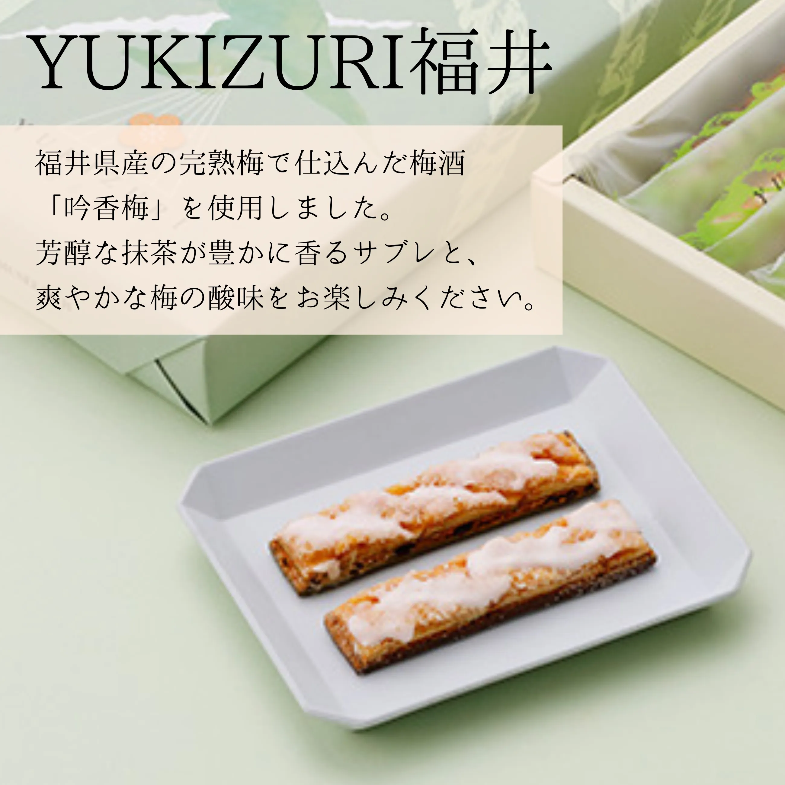[年末大感謝祭東京土産編激安!!]富貴蘭　必見！!紀州宝冠(紀州雪虎覆輪) 楽天市場】富貴蘭 風蘭 古典植物 現品 品種 紀州雪虎 きしゅうゆきとら