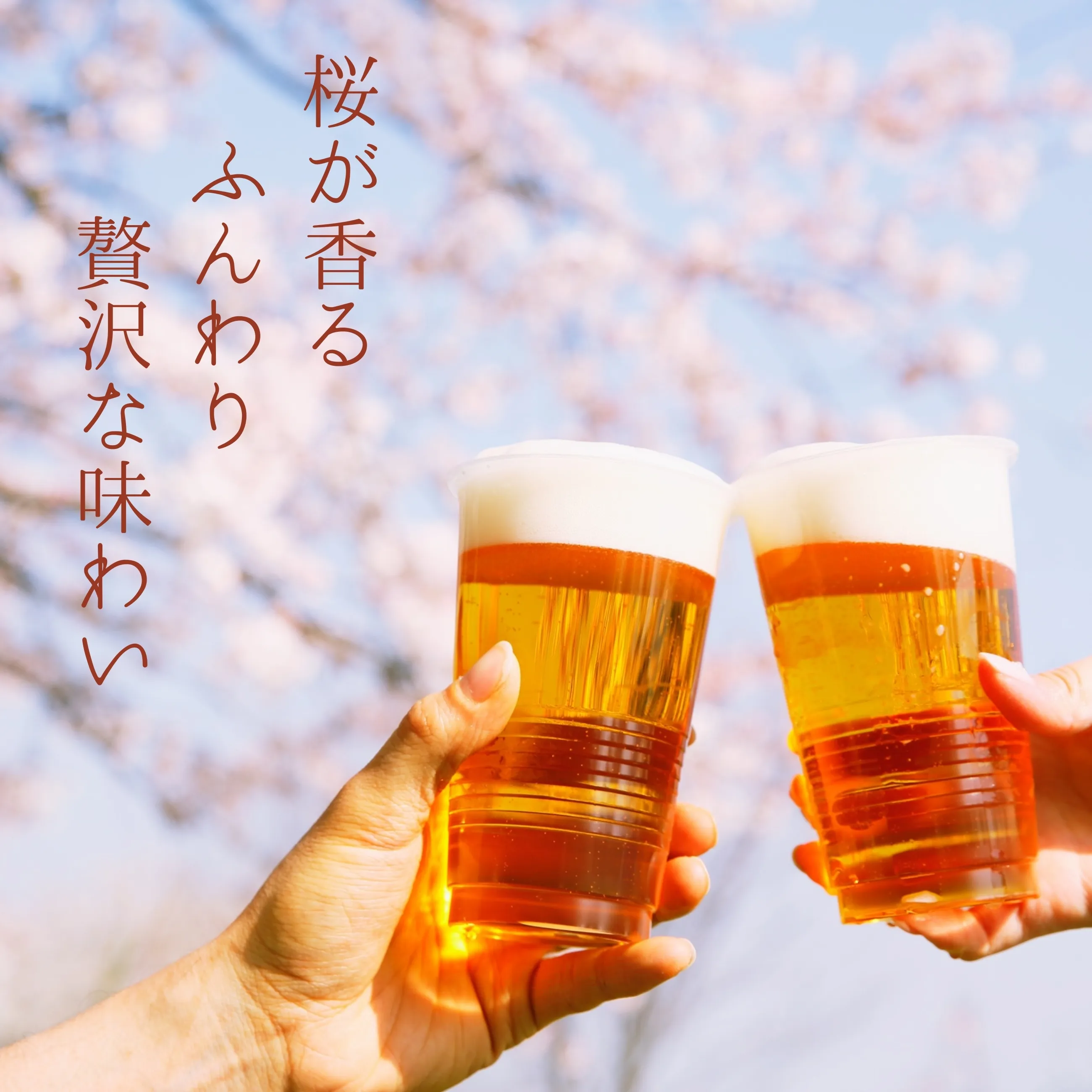 送料無料】【数量限定】【金澤ブルワリー】【クラフトビール】金澤麦酒