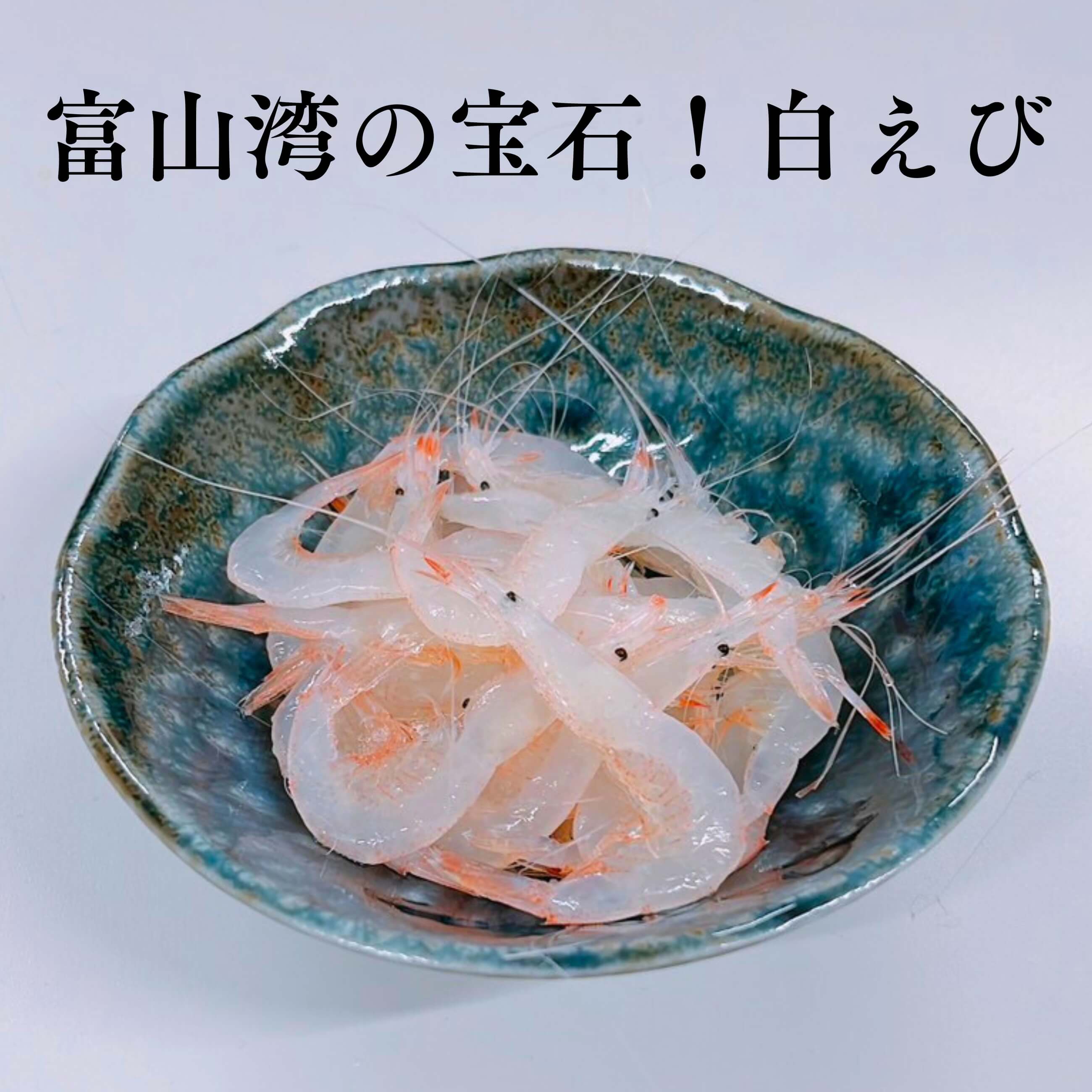 新品 セット販売 ガラスのほたるいか ガラスのボイルほたるいか 白エビ 