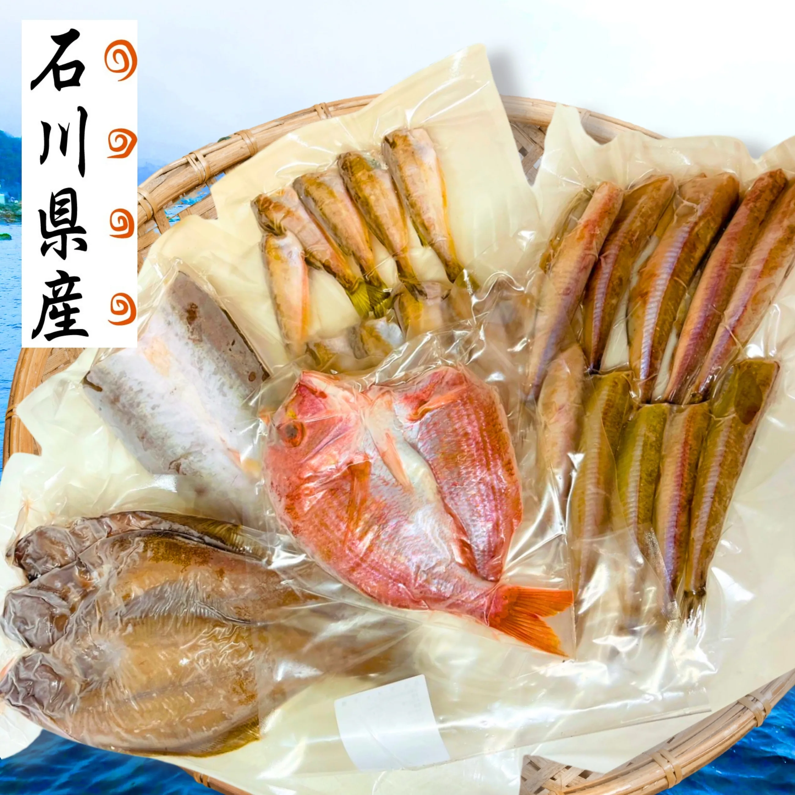 【送料無料】【海鮮】【干物】石川県産の鮮魚のみ使用！ 素材の味を活かしたソフトな一夜干し  おまかせ５種セット【小松水産】