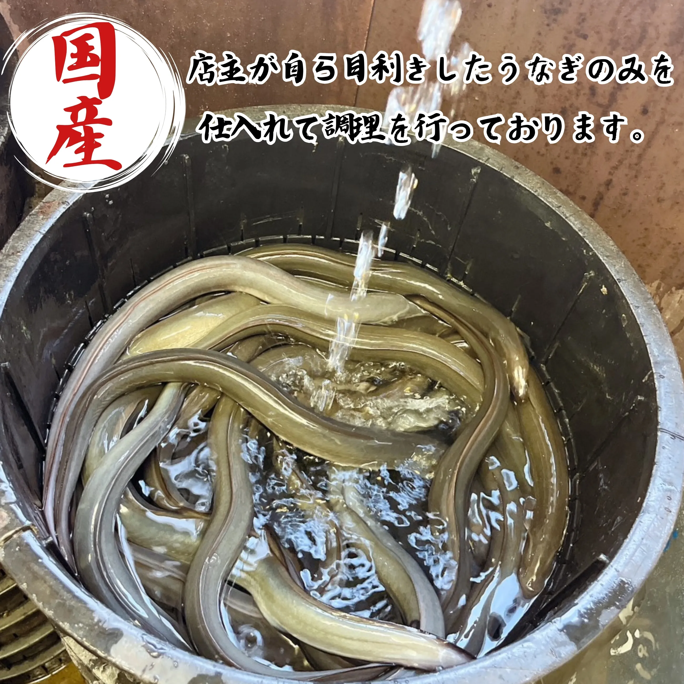 クール便送料込】【蒲焼専門店】【土用丑の日】金沢のかばやき専門店が 