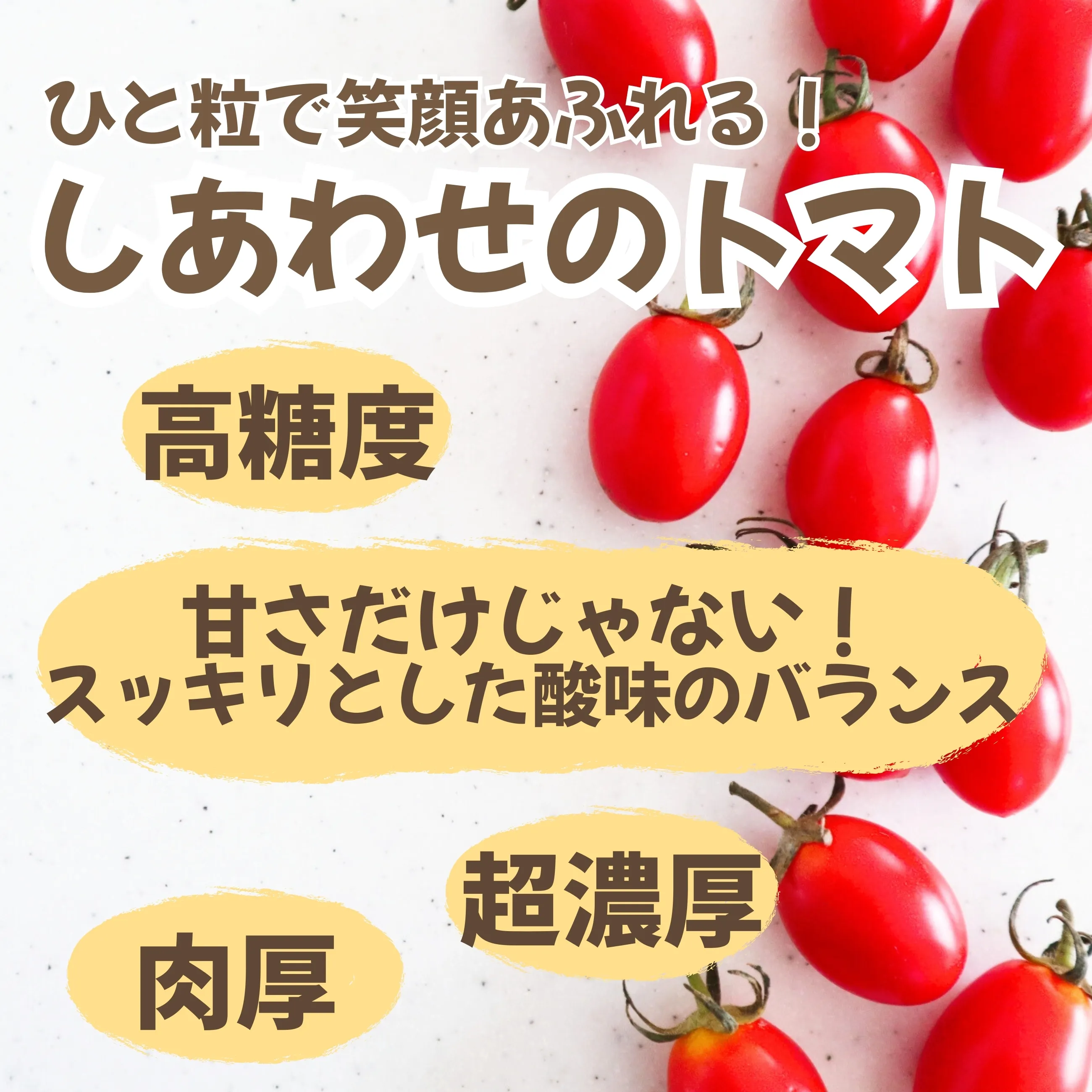 とまと様ご専用 トマト様専用 とまと様専用 とまと様専用 とまと様専用 トマト様 専用