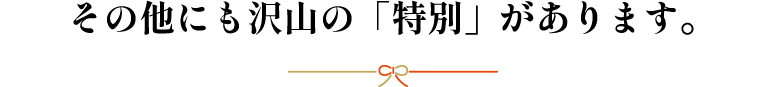 その他にも沢山の「特別」があります。